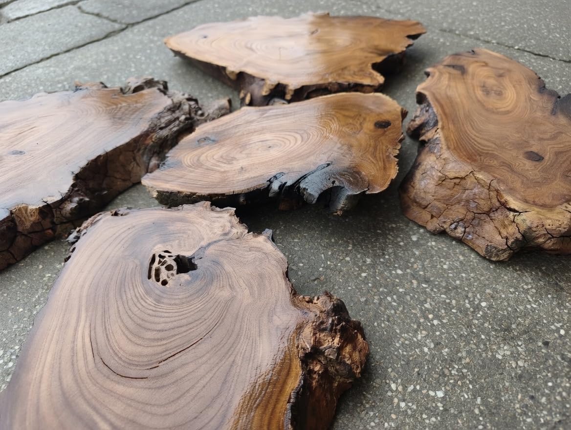 Burl Wood Live Edge Wild Olive Wood Slab Set with 6pcs for Epoxy Projects (Natural)