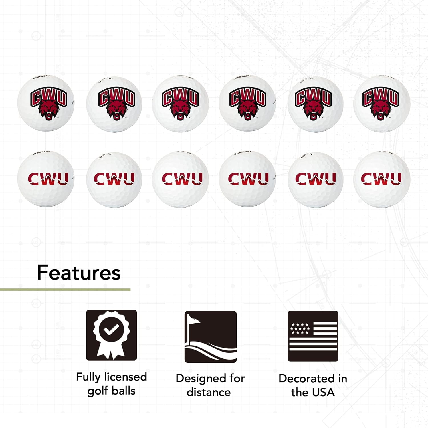 Desert Cactus Central Washington University Golf Balls 12 Pack – CWU Wildcats Full Color Dozen – Officially Licensed Sport Team Accessory