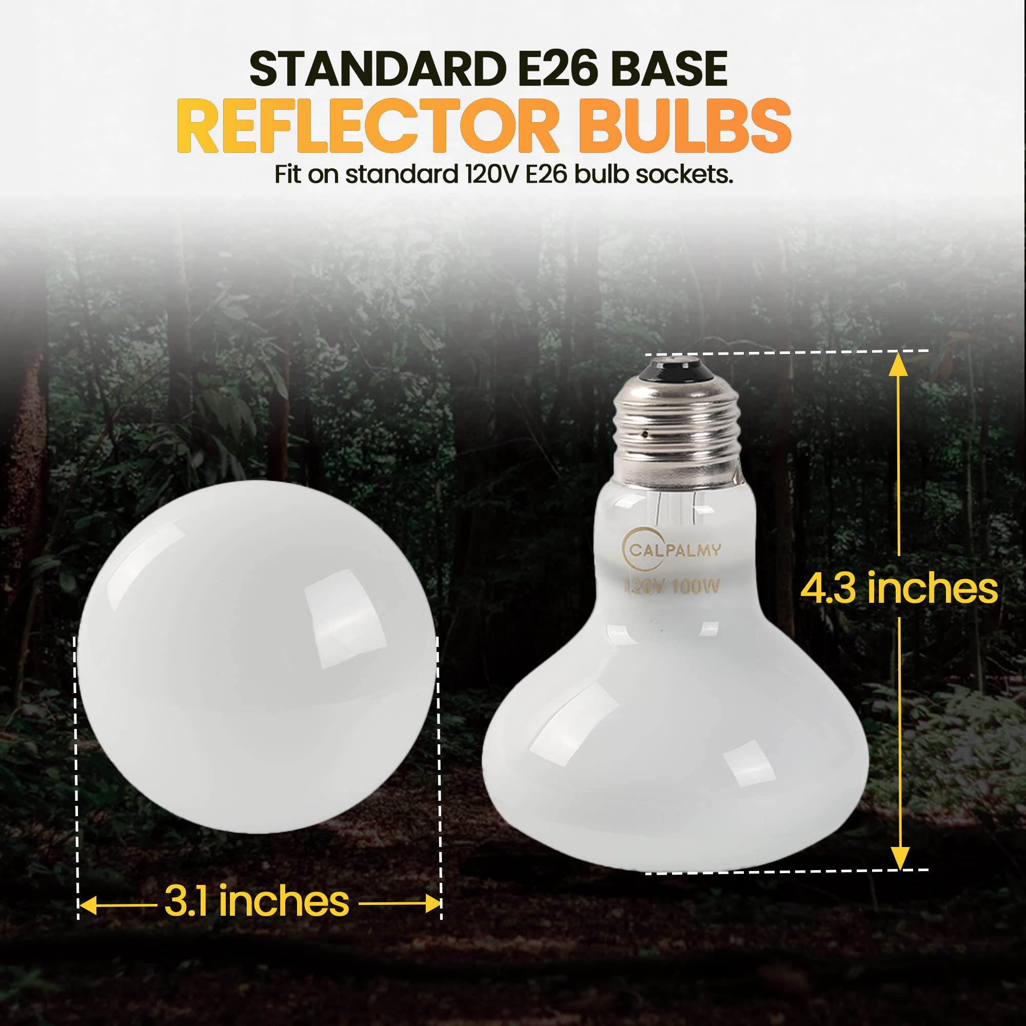 CALPALMY (4-Pack 100W Reptile Heat Lamp Bulbs - UVA Daylight Basking Light Bulbs for Reptiles, Turtles, Lizard, Bearded Dragon and Amphibians - 120V R80 Reflector Bulbs with E26 Screw Cap Base - image 4