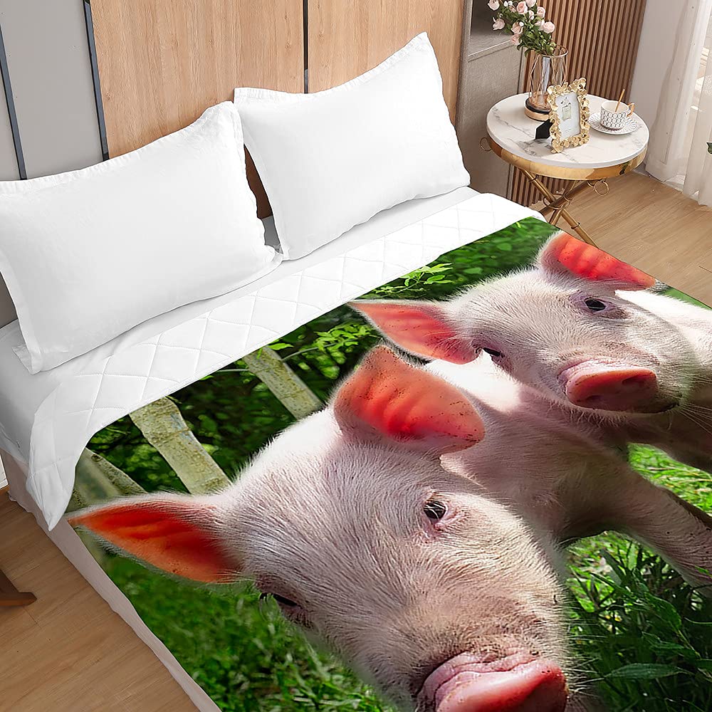 Trapuntino Copriletto Trapuntato Matrimoniale Singolo, Chickw11 3D Maiale Stampa Coperta Primaverile Estivo Trapunta Goffrato Coperta Leggera per Camera da Letto (Maiale d'erba,230x280cm)