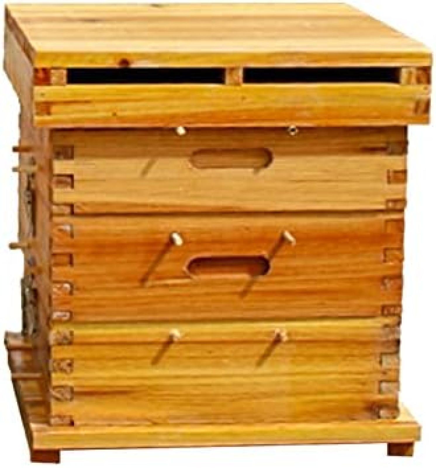 Kit completo, recubierto de cera de abeja con marcos y hoja de base, colmena de 3 capas para una apicultura eficaz