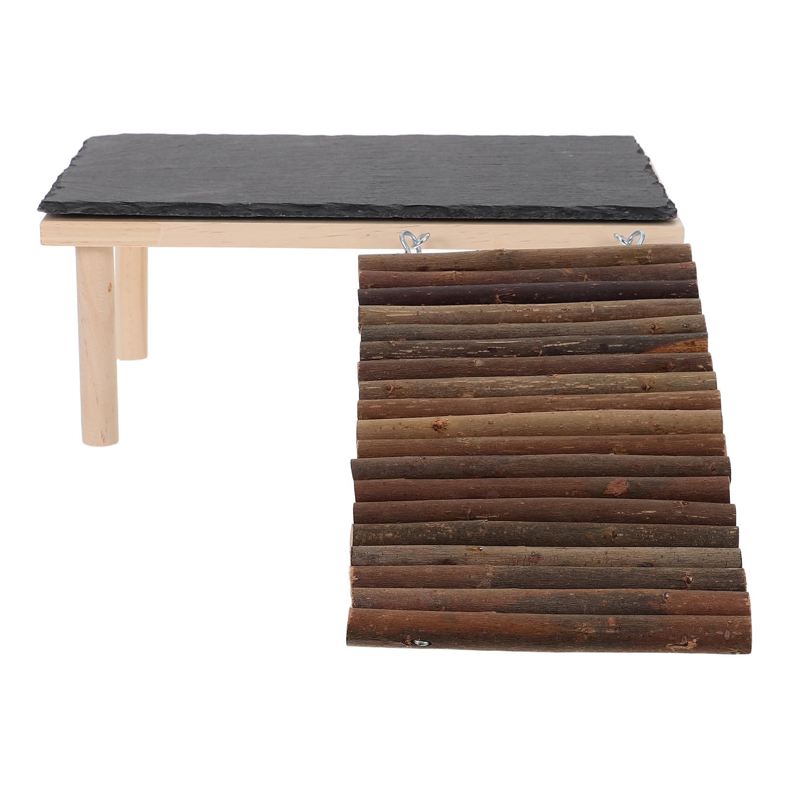 Piattaforma per Rettili con Scala, Decorazione per Terrario