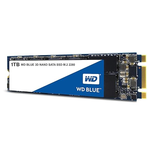 WD Blue 3D NAND 1TB Internal PC SSD - SATA III 6 Gb/s, M.2 2280, Up to 560 MB/s - WDS100T2B0B