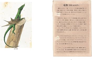 71a88aXkLzL._AC_UF350,