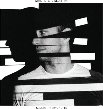 Momentary Masters por Albert Hammond Jr, capa do álbum