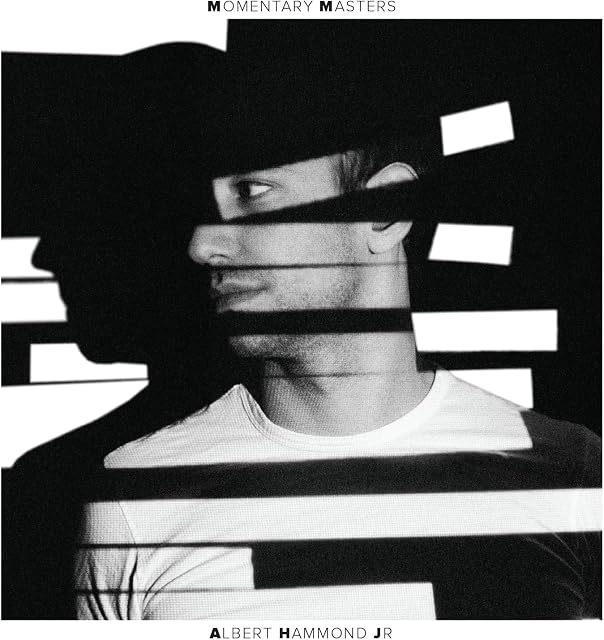 Momentary Masters por Albert Hammond Jr, capa do álbum