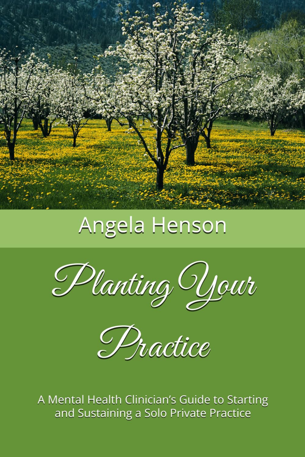 Planting Your Practice: A Mental Health Clinician’s Guide to Starting and Sustaining a Solo Private Practice