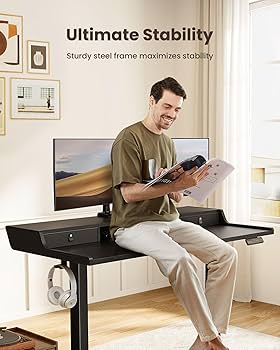 ERGOREST ONLINE STORE 左右セット/ロングアーム/ブラック ERGOREST ONLINE STORE