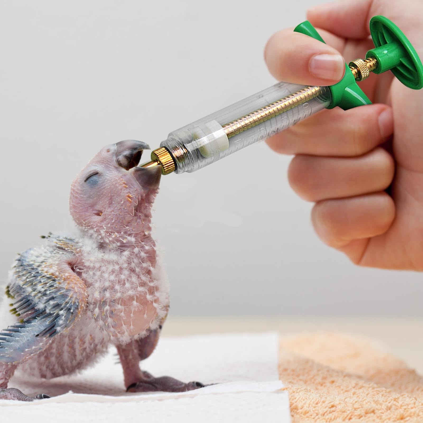 Siringa Per Mangimi Per Uccelli - Siringa Con Tubo Di Alimentazione - Kit Alimentare Preciso Per Uccelli E Piccoli Animali | Ago Di Riproduzione Manuale Con Tubi Per L'alimentazione E I Farmaci
