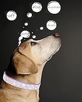 Vista 3 de Petank Collar de Perro para Perros Pequeños, Medianos y Grandes, Collar de Perro Pequeño para Perras, Collares de Perro Brillantes para Niñas