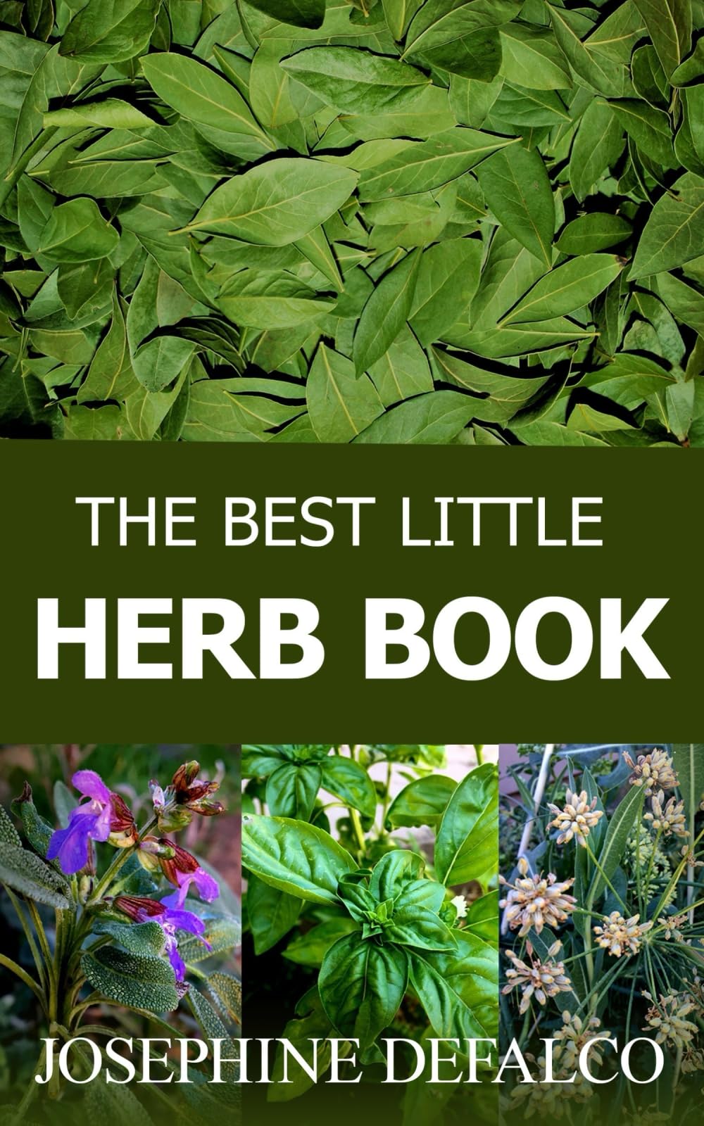 The Best Little Herb Book: How to Grow, Preserve, and Enjoy Culinary Herbs