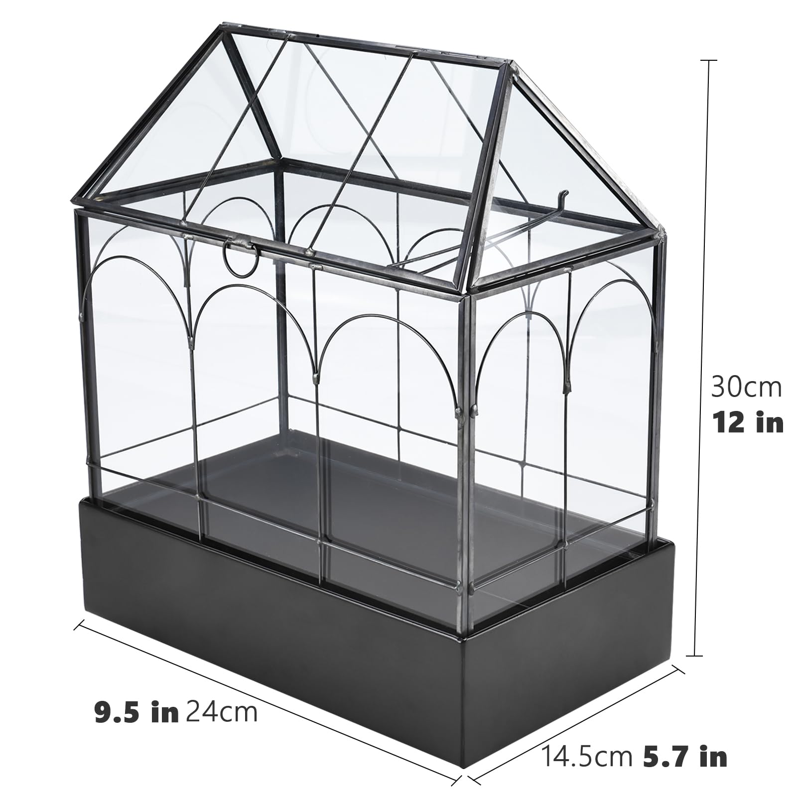 HighFree Terrario grande de cristal con bandeja de metal y patas de bola, kit de invernadero para suculentas, cactus, caracoles, arañas y reptiles en miniatura, color negro
