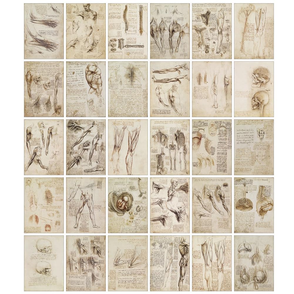 HOSTEESSCHOICE Beautiful Art Postcards set of 30 Italian Artist Leonardo da Vinci Sketch Collection Post card variety pack Famous Painting Scenery