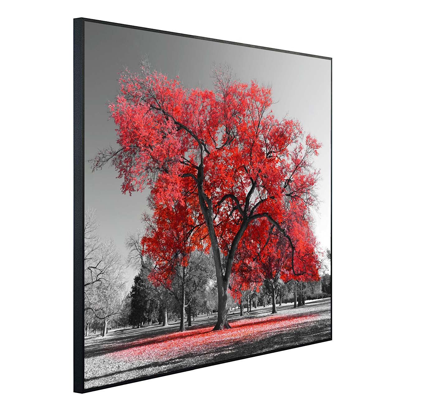 Riscaldatore a infrarossi Immagine | 600 Watt | 60x100 cm | Riscaldamento a infrarossi| | Fatto in Germania
