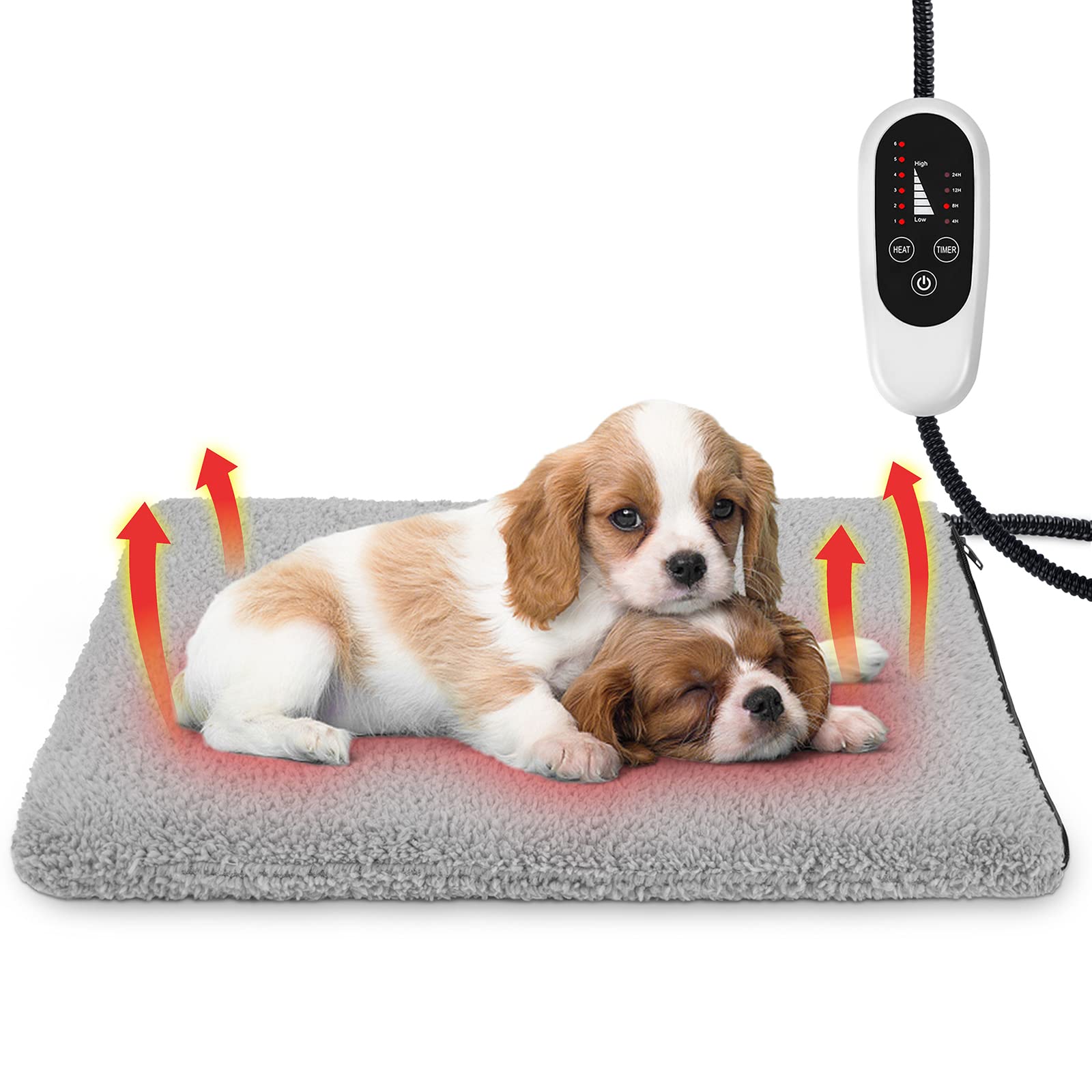 What House Temp Is Good For Dogs