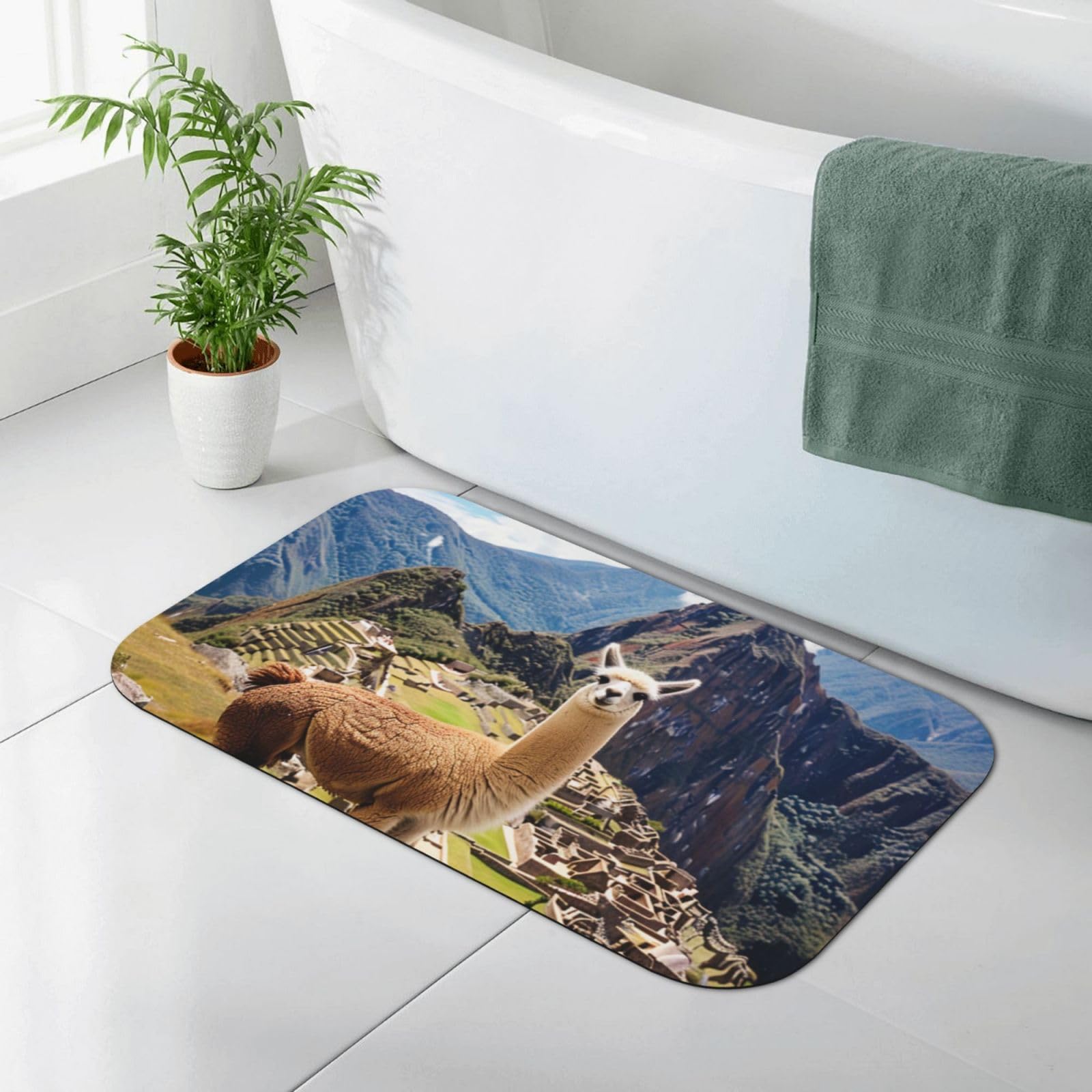 Tapis de bain absorbant diatomées antidérapant douche 30x50