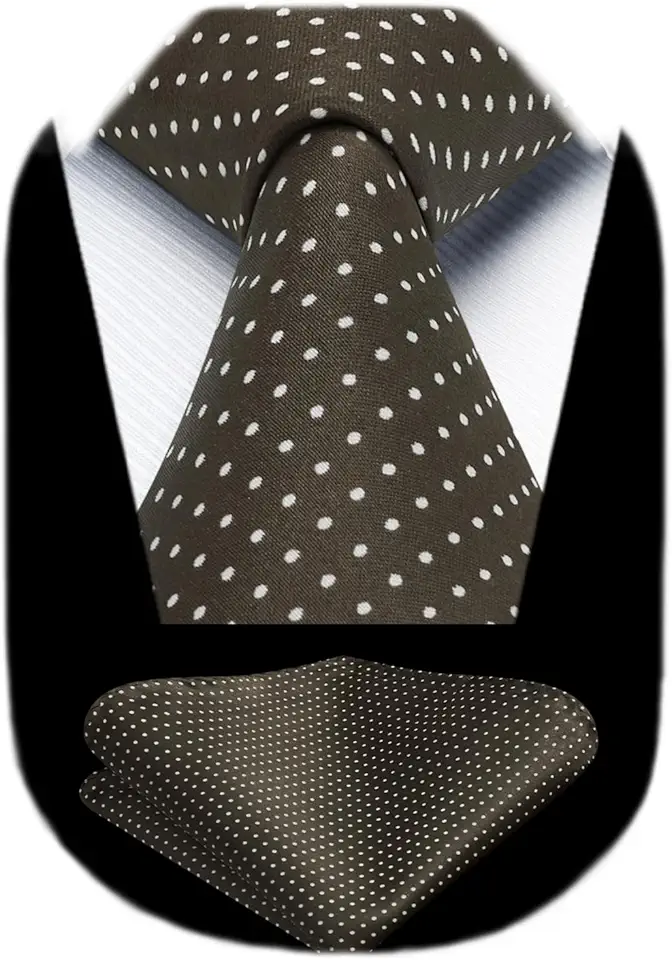 HISDERN Polka Dot Ties for Men Classic Silk Ties and Pocket Square Formal Business Necktie Handkerchief Wedding Party