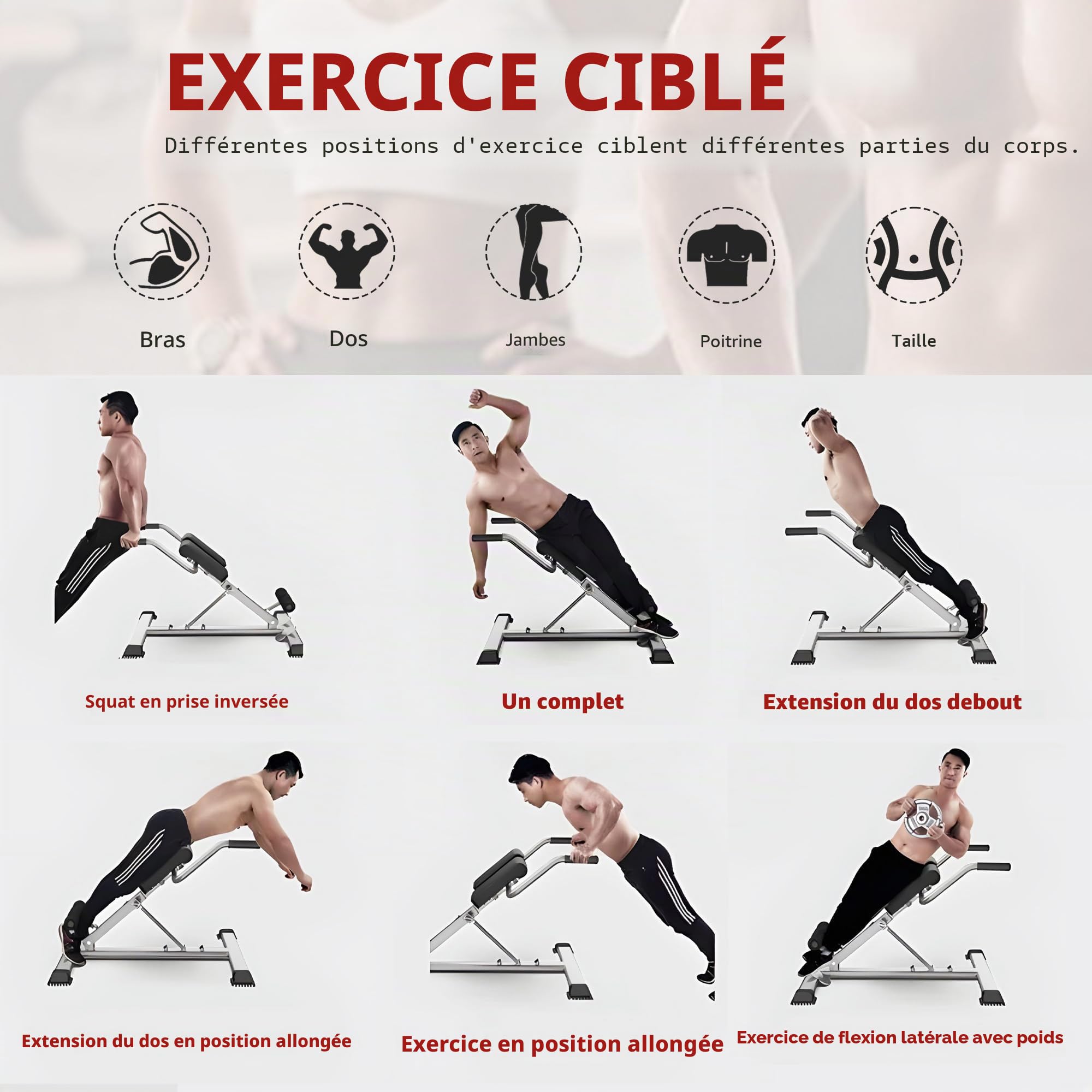SogesHome Banc d’hyperextension Banc de Musculation Pliable Chaise Romaine Réglable pour Musculation Abdominaux et Lombaires pour Fitness à Domicile
