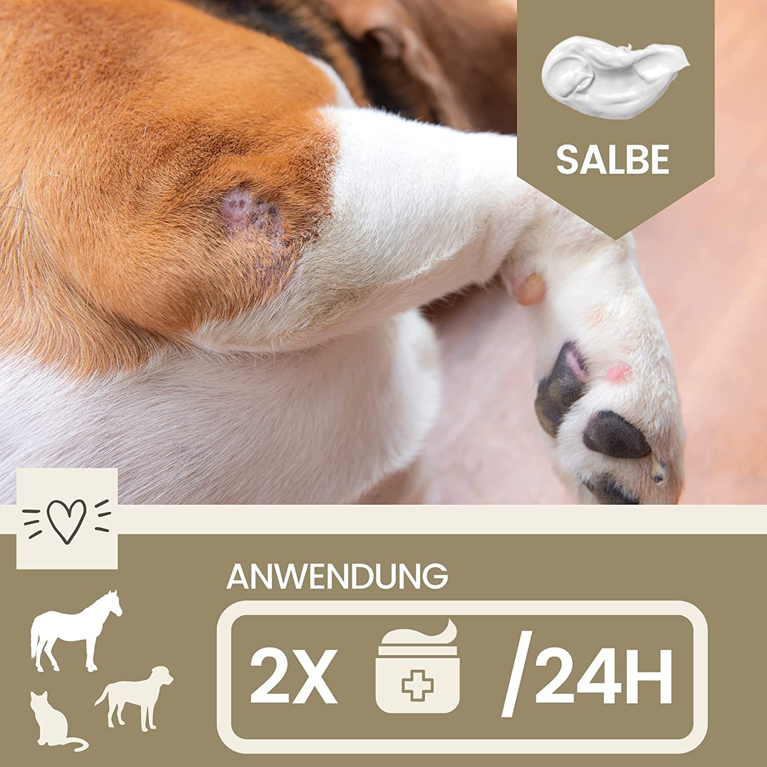 Pomada de Zinc Caballo Perro Gato I para Heridas I Crema de Zinc para Heridas Abiertas I para Eczema con Zinc para Picazón de los Malleros para Curación de Heridas I Curación de Heridas Animales 250ml