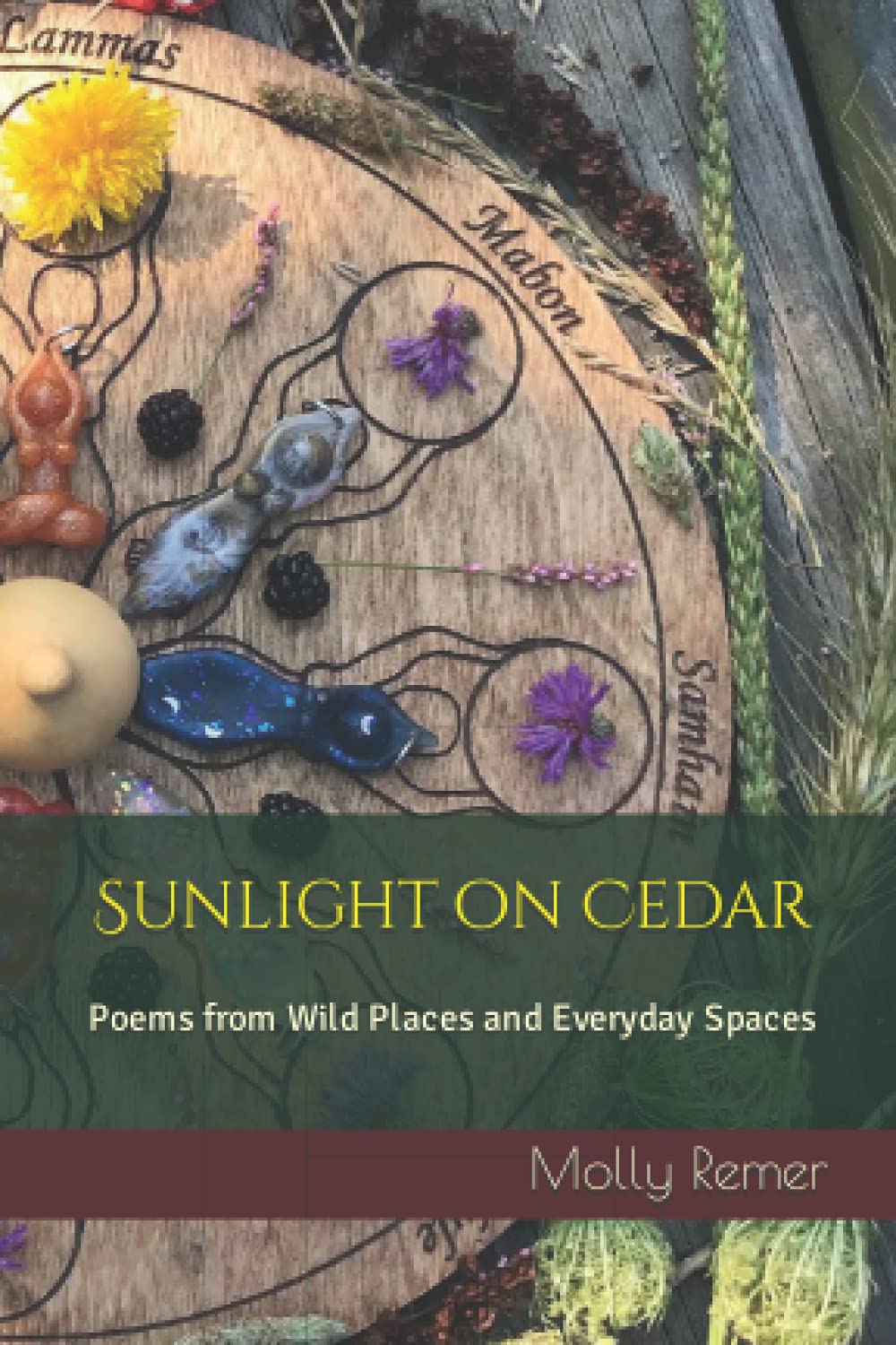 Sunlight on Cedar: Poems from Wild Places and Everyday Spaces