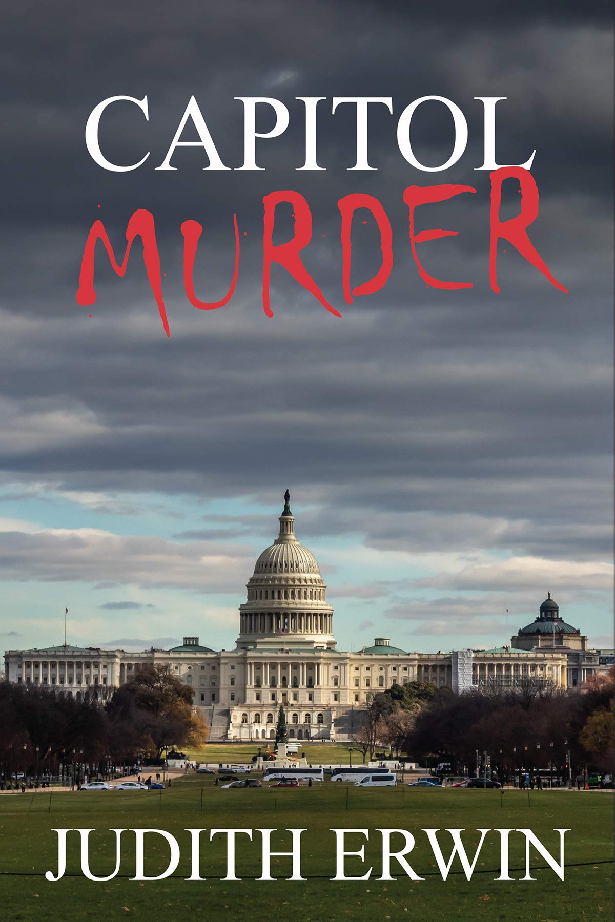 Capitol Murder (Shepherd & Associates Book 1)