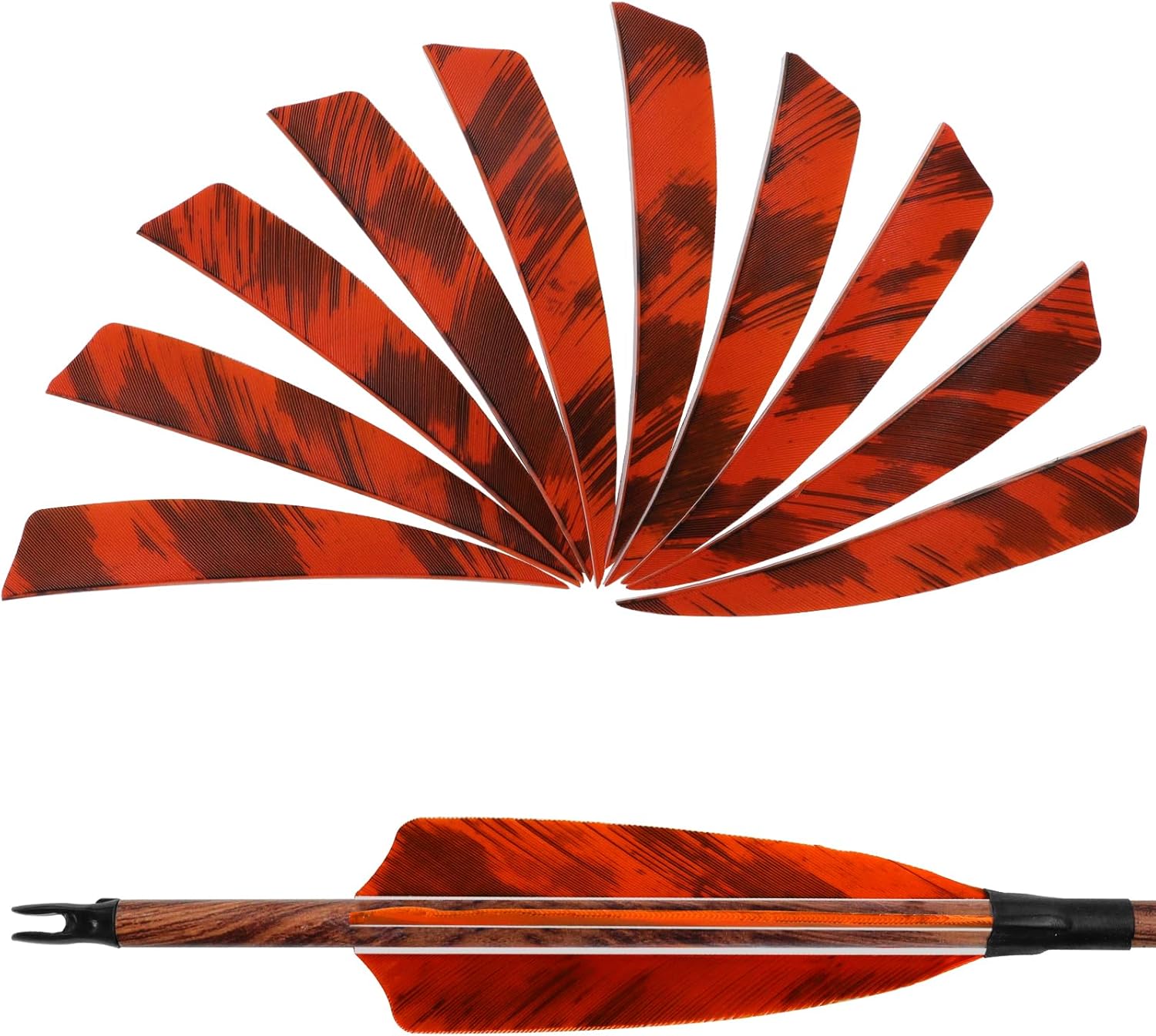 36pcs 4-Inch Shield Cut Natural Feathers Arrow Real Turkey Fletchings Archery Right Wing Vanes Arrow Turkey Fletches for Hunting and Shooting