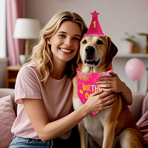Dog Birthday Decorations Rose Pink, Dog Birthday Party Supplies with Hat Bandana Numbers for Large Medium Girl Pets Puppy(rose pink-set,X-Large)