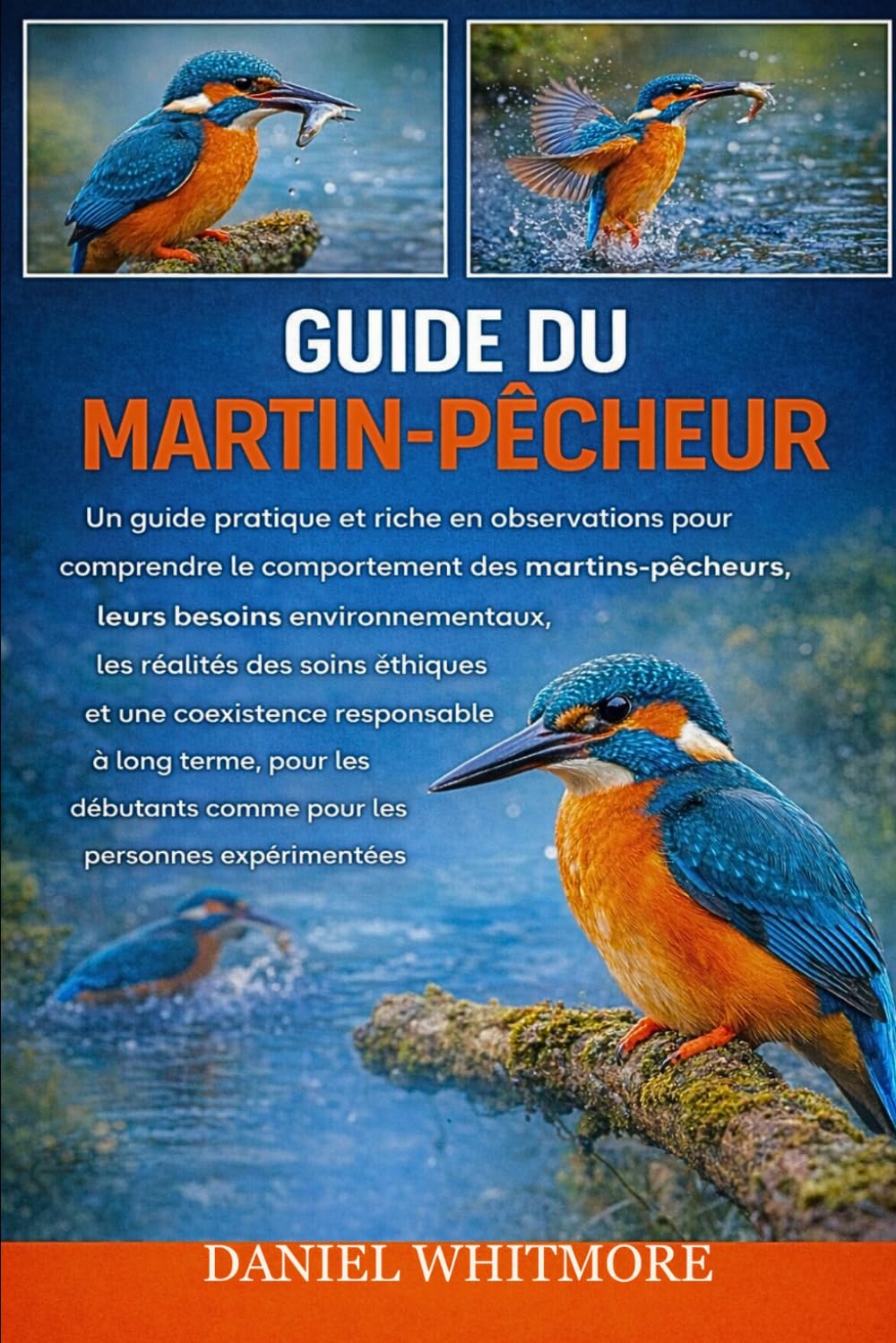 GUIDE DU MARTIN-PÊCHEUR: Un guide pratique et riche en observations pour comprendre le comportement des martins-pêcheurs, leurs besoins ... à long terme, pour les débutants comm