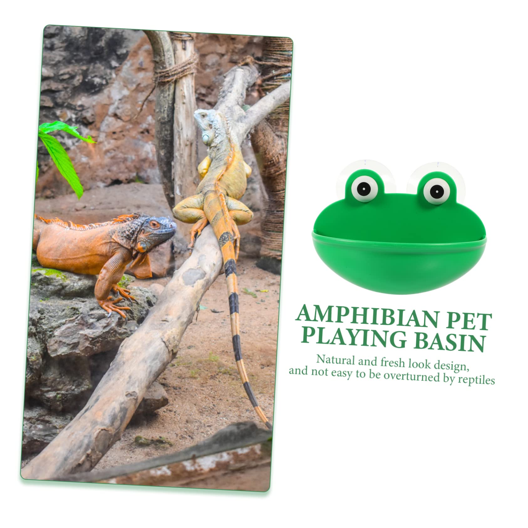 DOITOOL 6piezas Plataforma Decorativa para Reptiles Descanso y Alimentación Terrario Soporte Multifuncional para Reptiles y Mascotas Accesorios Seguros y Duraderos para Terrarios
