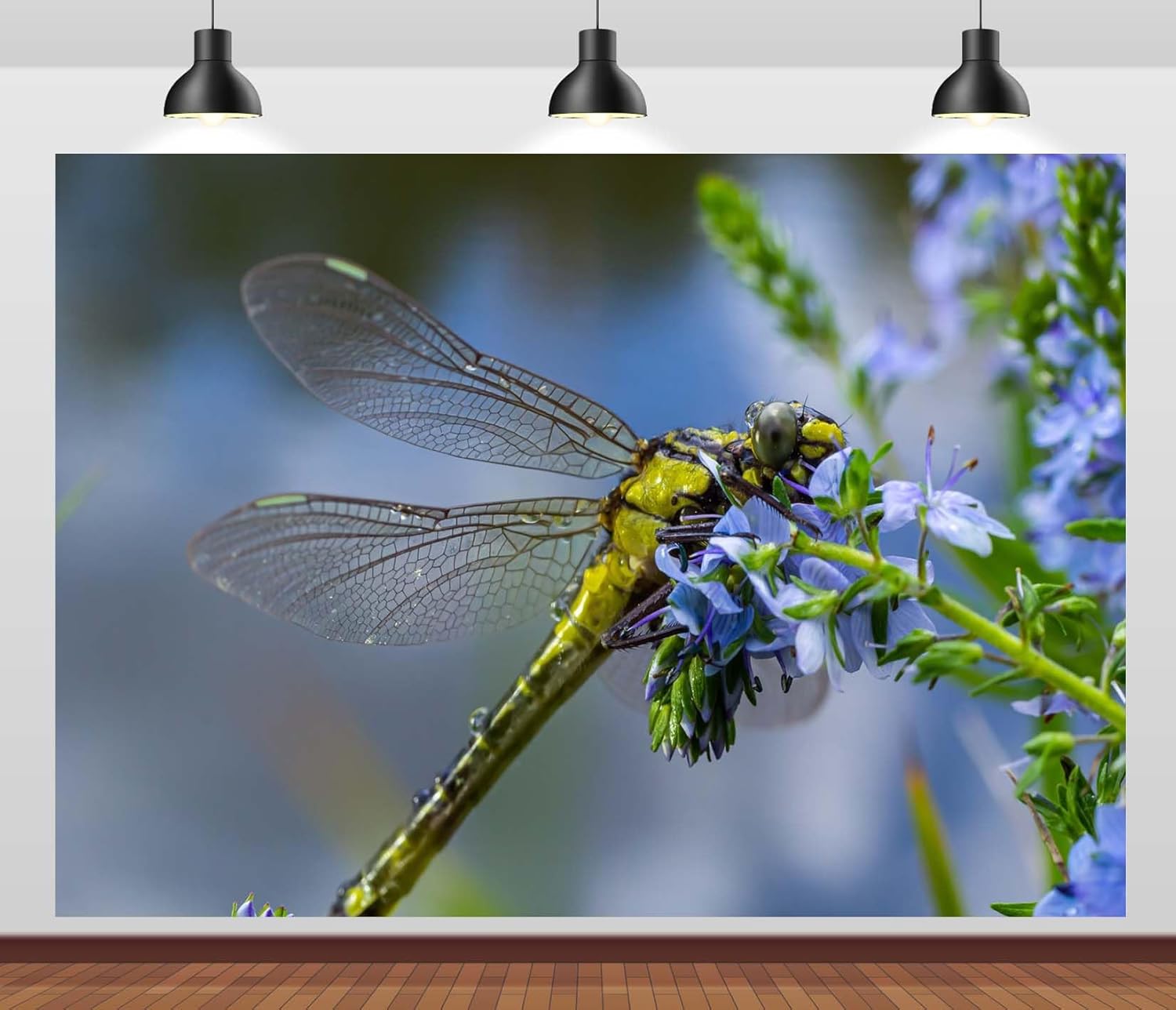 Amazon.com : CORFOTO 5x3ft Fabric Dragonfly Macro Shot Backdrop ...