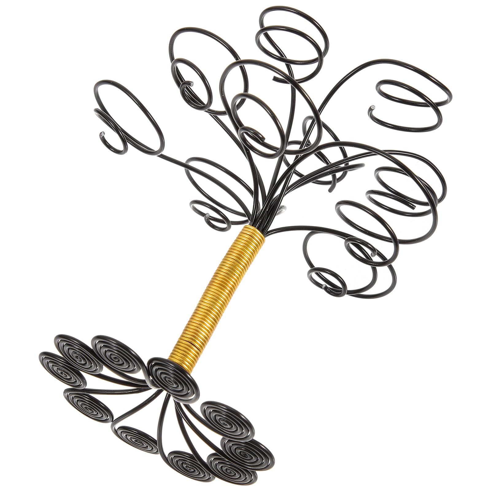 Support pour plante aérienne en fil noir pour éviter la pourriture des tillandsias