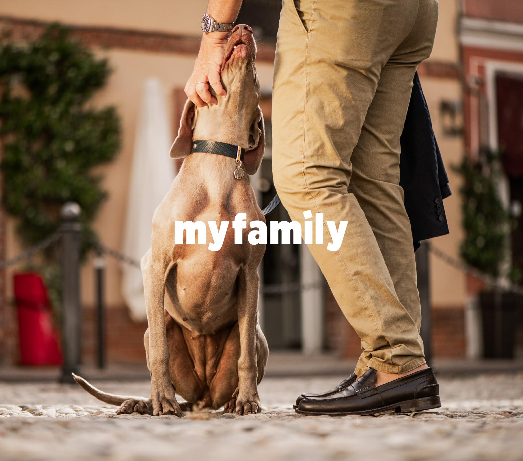 MyFamily Medaglietta per Cane Beagle Targhetta Cane Smaltata a Mano Metallo 27x30 mm