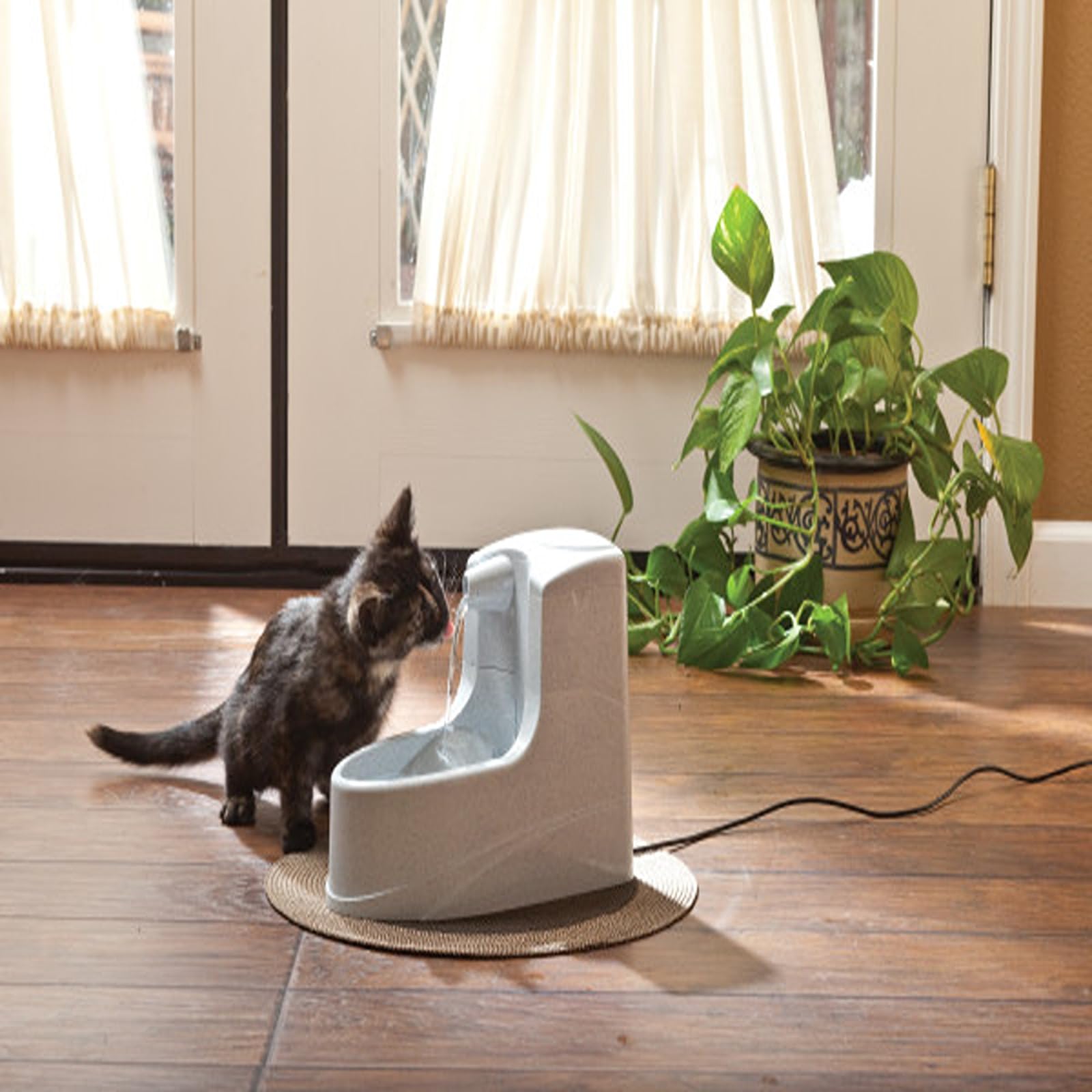 PetSafe Drinkwell Trinkbrunnen Mini, Zweifaches Filtersystem, Für kleine Hunde und Katzen geeignet, 1,2 Liter Wasserkapazität