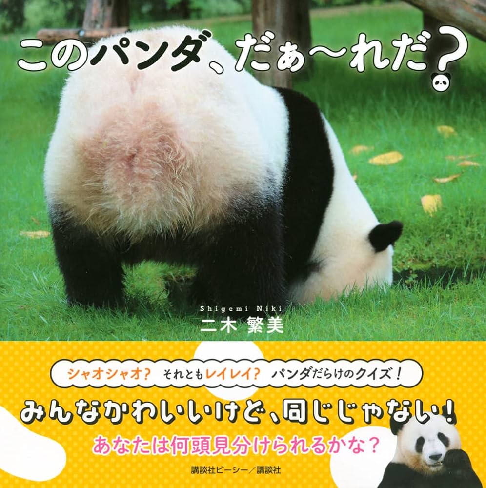 邦楽 ko-pan-da 邦楽 ko-pan-da PANDA RECORD (@pandarecord2014) / X