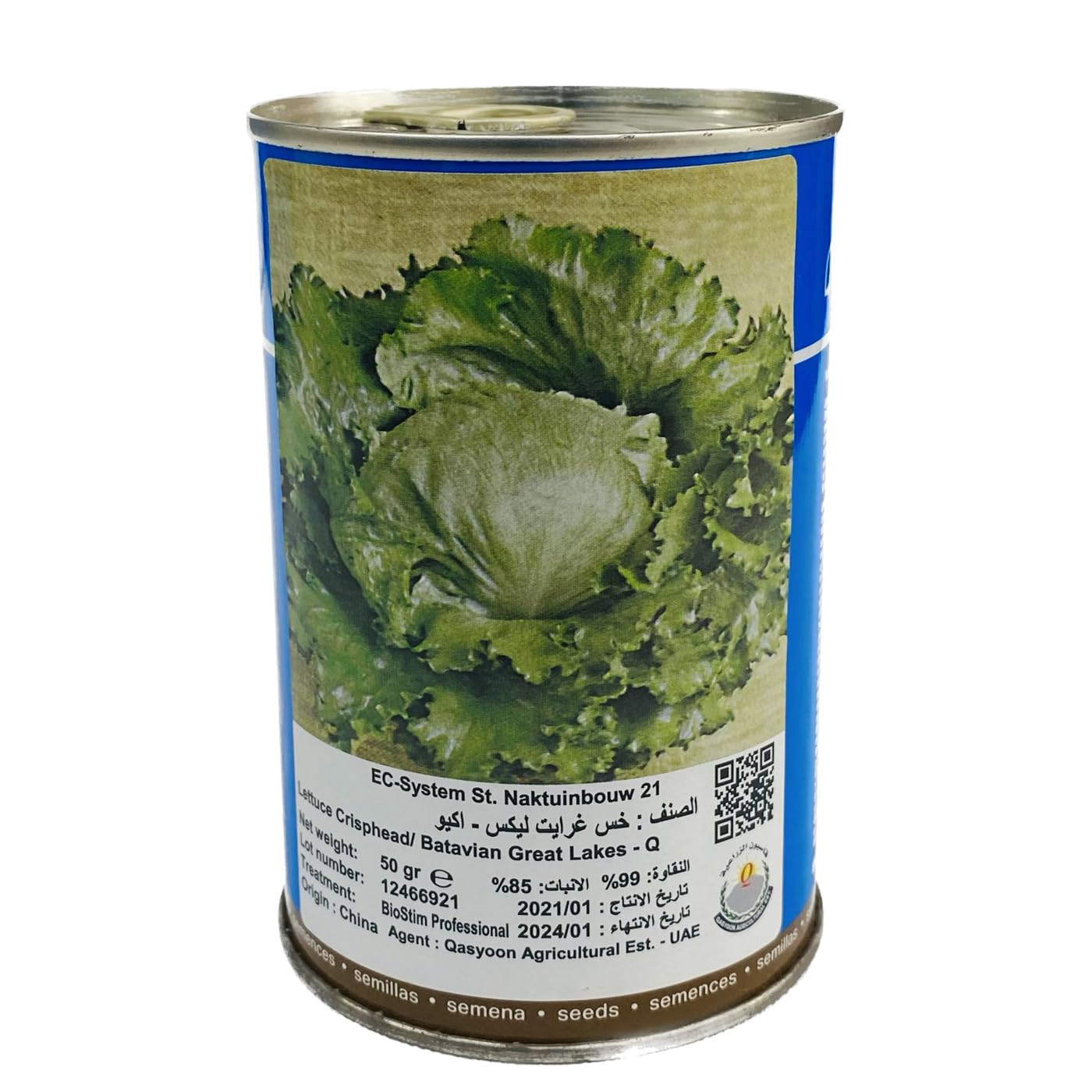 Premium Quality Seeds 99% germination (Made in italy) 50gr by Baker brothers (Lettuce)