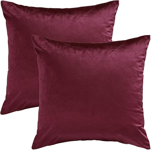 Vista 198 de GIGIZAZA - Juego de 2 fundas de almohada decorativas de 18 x 18 pulgadas, fundas de almohada cuadradas de terciopelo verde azulado pavo real