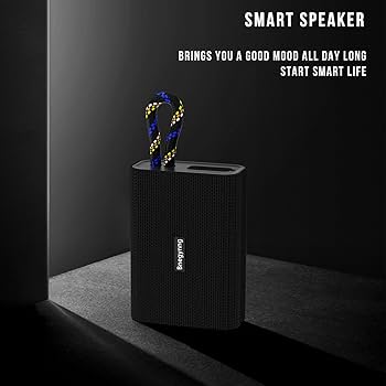 GOODENOUGH BLUETOOTH SPEAKER 「4719」 GOODENOUGH BLUETOOTH SPEAKER 「4719」 Amazon.com: QFX BT-ZX0