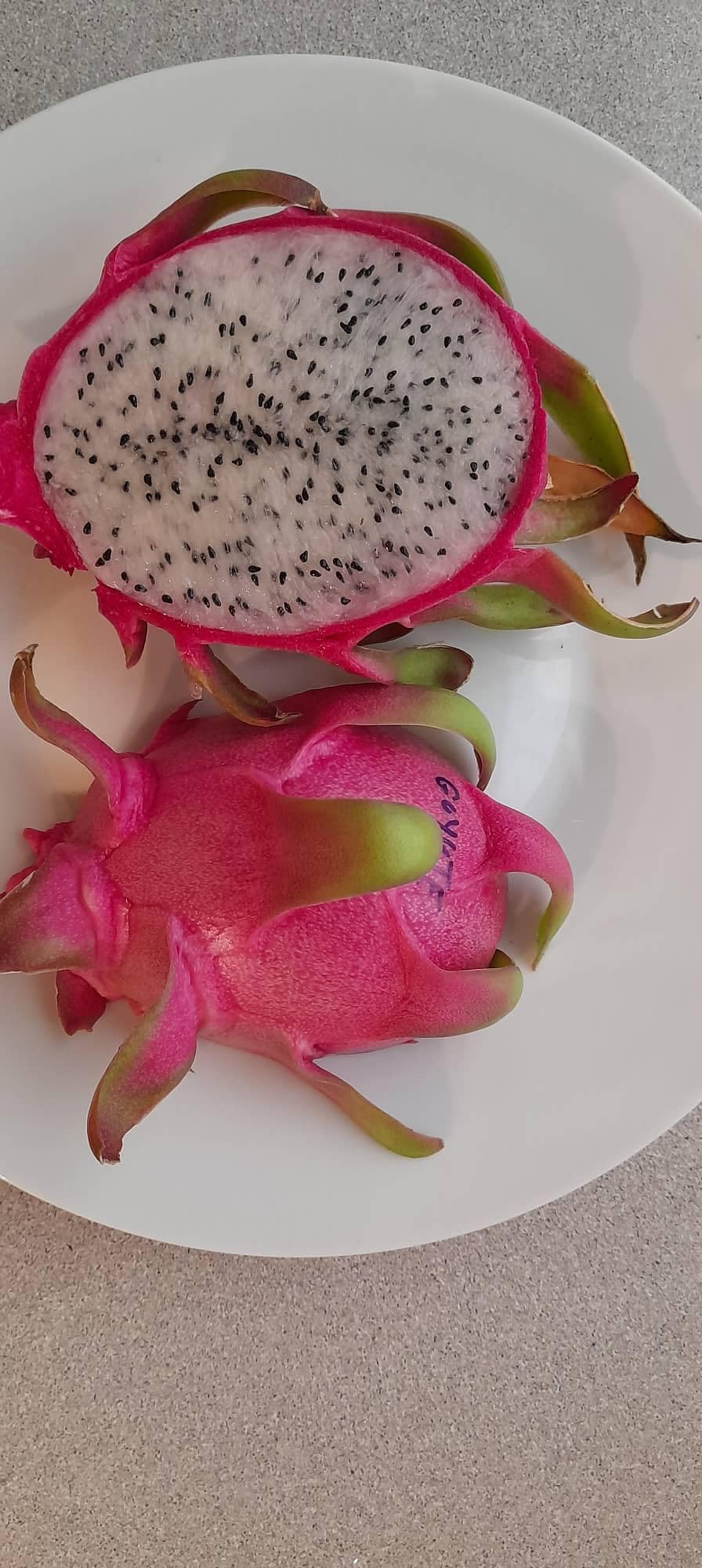 PITAYA ROSSA, 30-40 CM, FRUTTO DEL DRAGO, VARIETA' AUTOFERTILE JINDU N1/GUYUTE