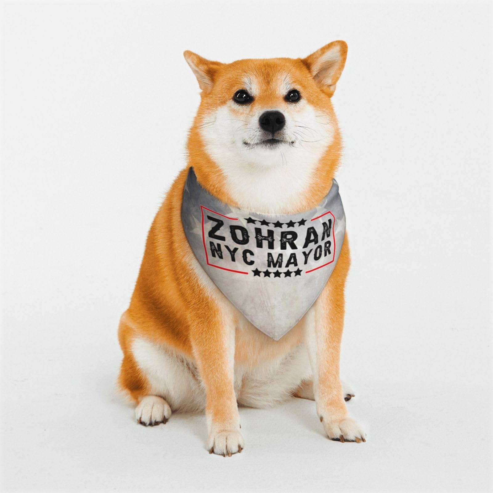 Zohran Mamdani for NYC Mayor Dog Bandana Pet Triangle Scarf Bibs Washable Puppy Kerchief Adjustable Grooming Supplies for