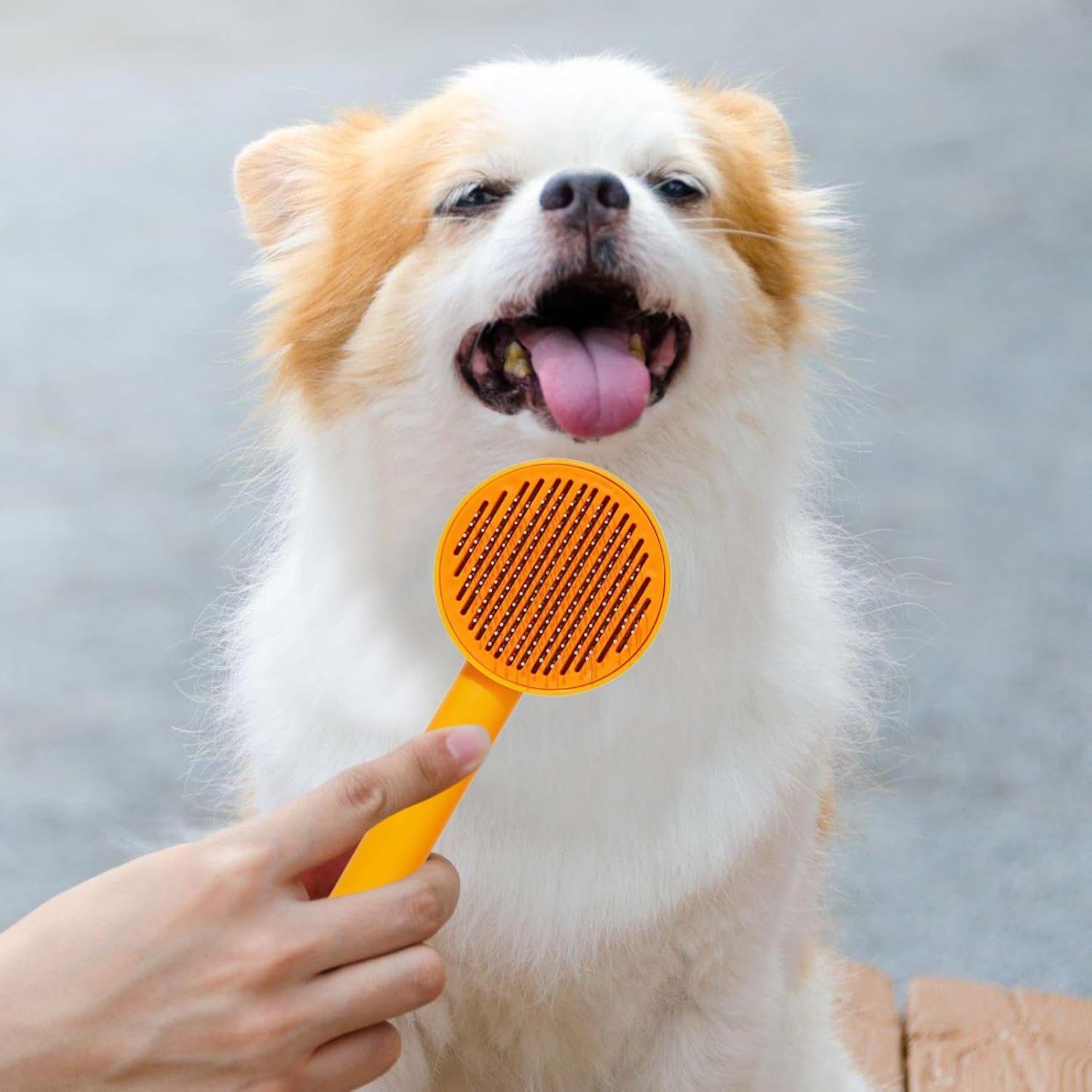 Pet Shedding Slicker Brush Small Medium Large Cats Long Short Haired