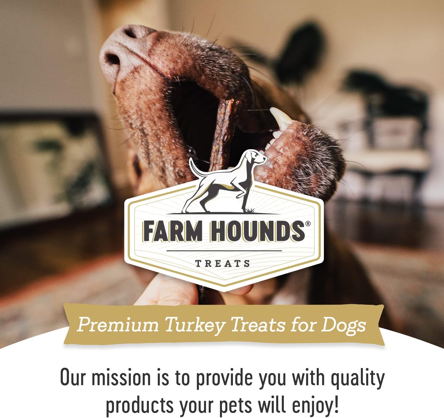 Farm Hounds - Turkey Gizzards - Premium Natural Jerky for Dogs - 100% Humanely Raised Turkey - Break-to-Size - Great for Training & Treats - No Added Fillers - Made in USA - 4oz - 2 Pack