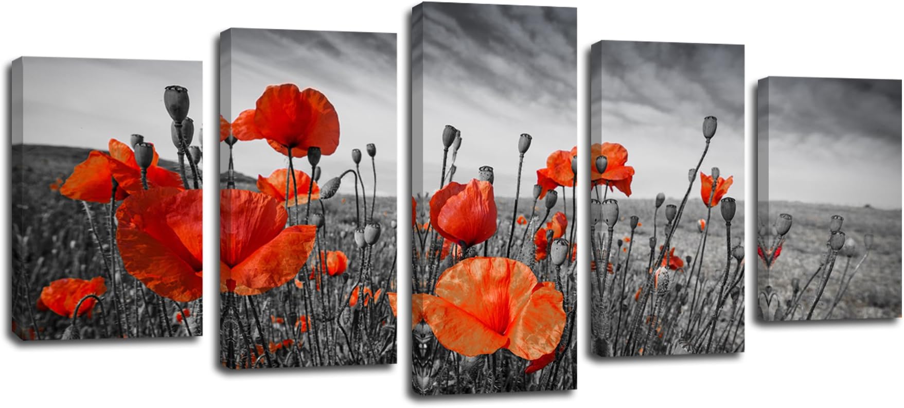 Laiwang-5 Panels Landscape Giclee Canvas Print Ready to Hang Red Poppy Flowers Art Painting Prints On Canvas Framed Modern Wall Art for Living Room Bedroom Kitchen Office Home Decorations