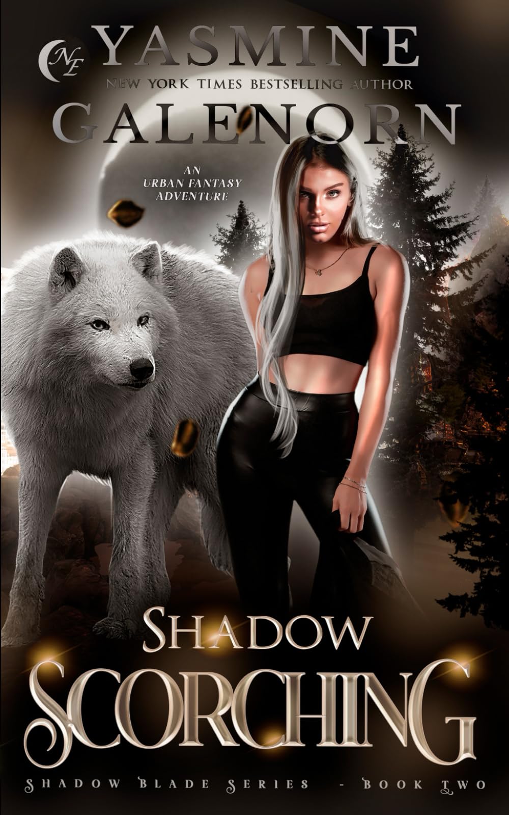 Shadow Scorching: An Urban Fantasy Adventure: 2 (Shadow Blade Series)