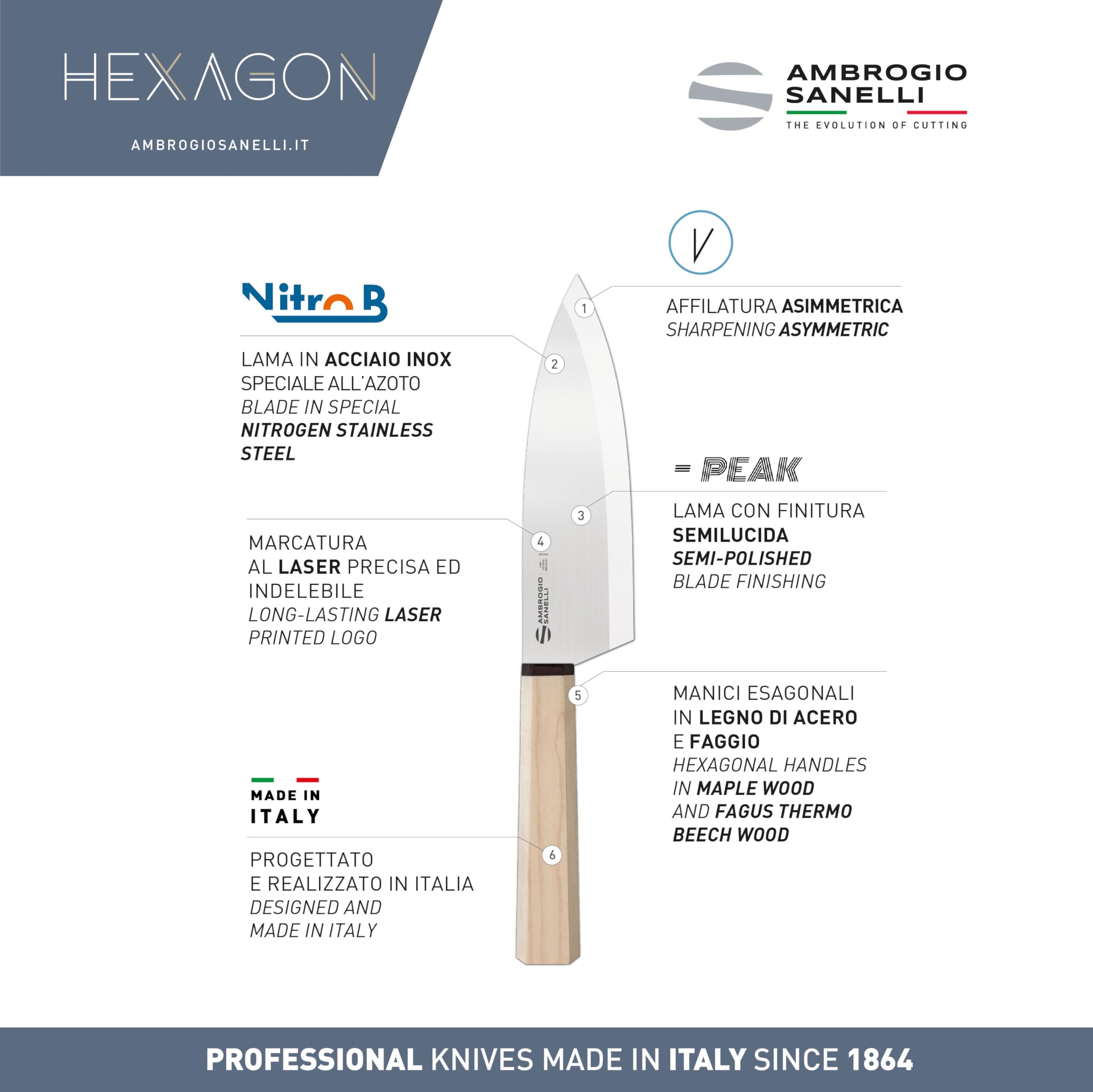 Ambrogio Sanelli, Coltello da Cucina Professionale Hexagon, Coltello Deba con Lama 16 cm in Acciaio Inox all'Azoto e Manico Esagonale, Coltelli Professionali per Lavorare il Pesce, Made in Italy