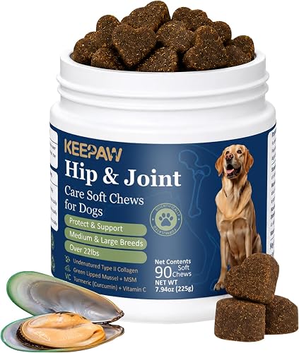 Dog Hip Joint Supplement for Medium and Large Breed Soft Chews 90 Ct | with Undenatured Type II Collagen, Green Lipped Mussel, Turmeric, MSM, Vitamin C Roasted Chicken Flavor for Senior Dogs