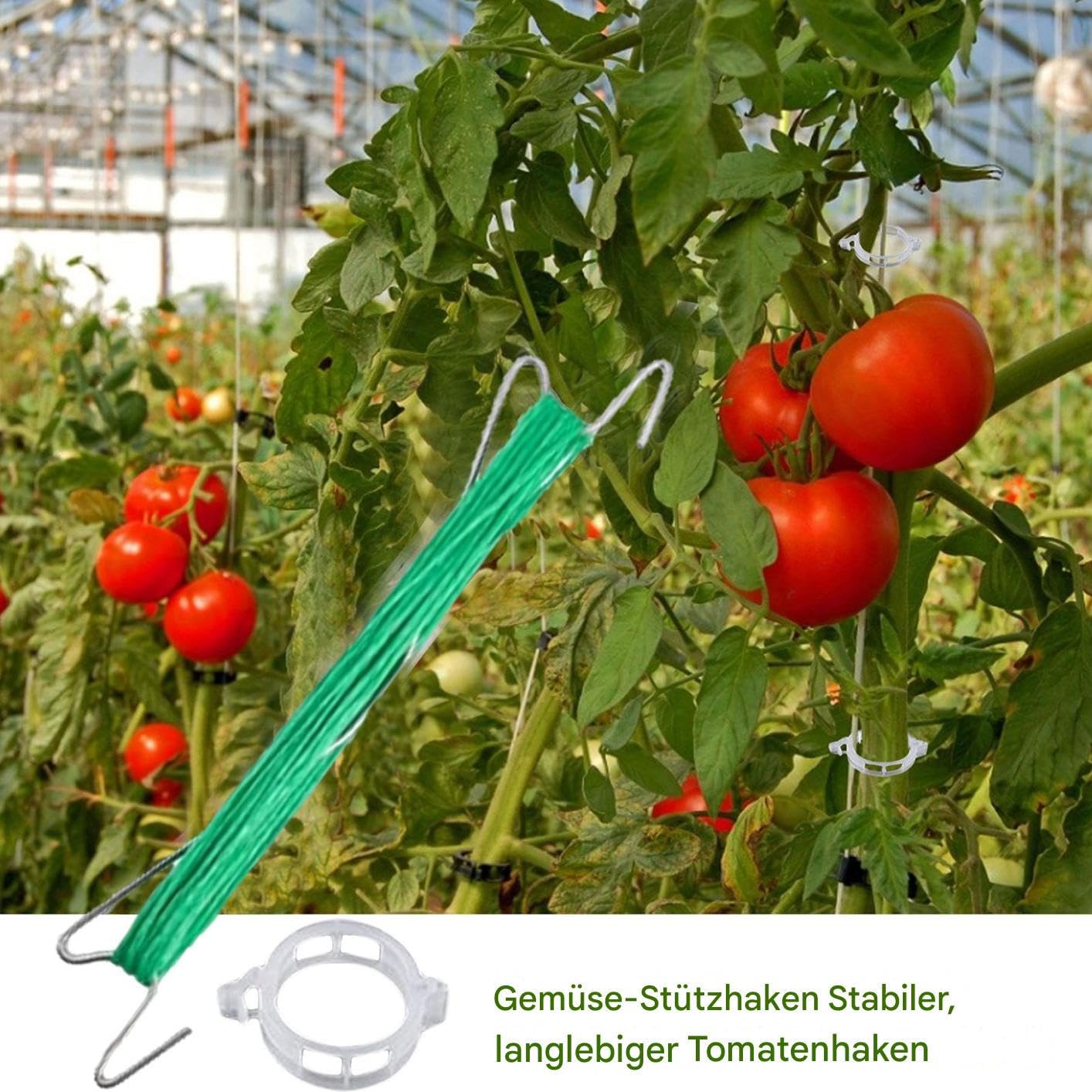 Ganci Da Pomodori Con Cordino Con Cordino E Clip Di Supporto | 40 Pezzi Ganci da per Piante Rampicanti Per Cetrioli, Frutta, Colture, Interno Ed Esterno, Giardino, Fattoria, Pati