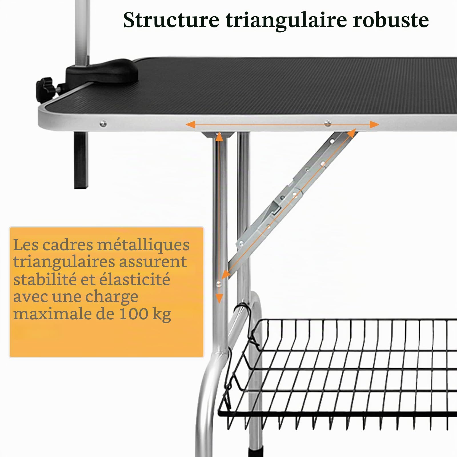 Aufun Table de toilettage pour Chiens,113x60x76 cm Table de toilettage Stable avec Potence réglable en Hauteur et 2 Boucles, Pliable,Table de Bain pour Chiens,toilettage des caniches,jusqu'à 100 kg