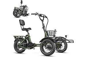 SPYTAN Addmotor Trike: A Fusion of Power and Comfort