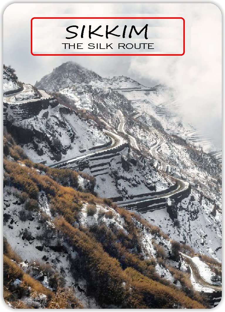 R and R Imports Rustic Black, White, or Gray 3.5 INCHES X 2.5 INCHES Wood Fridge Magnet