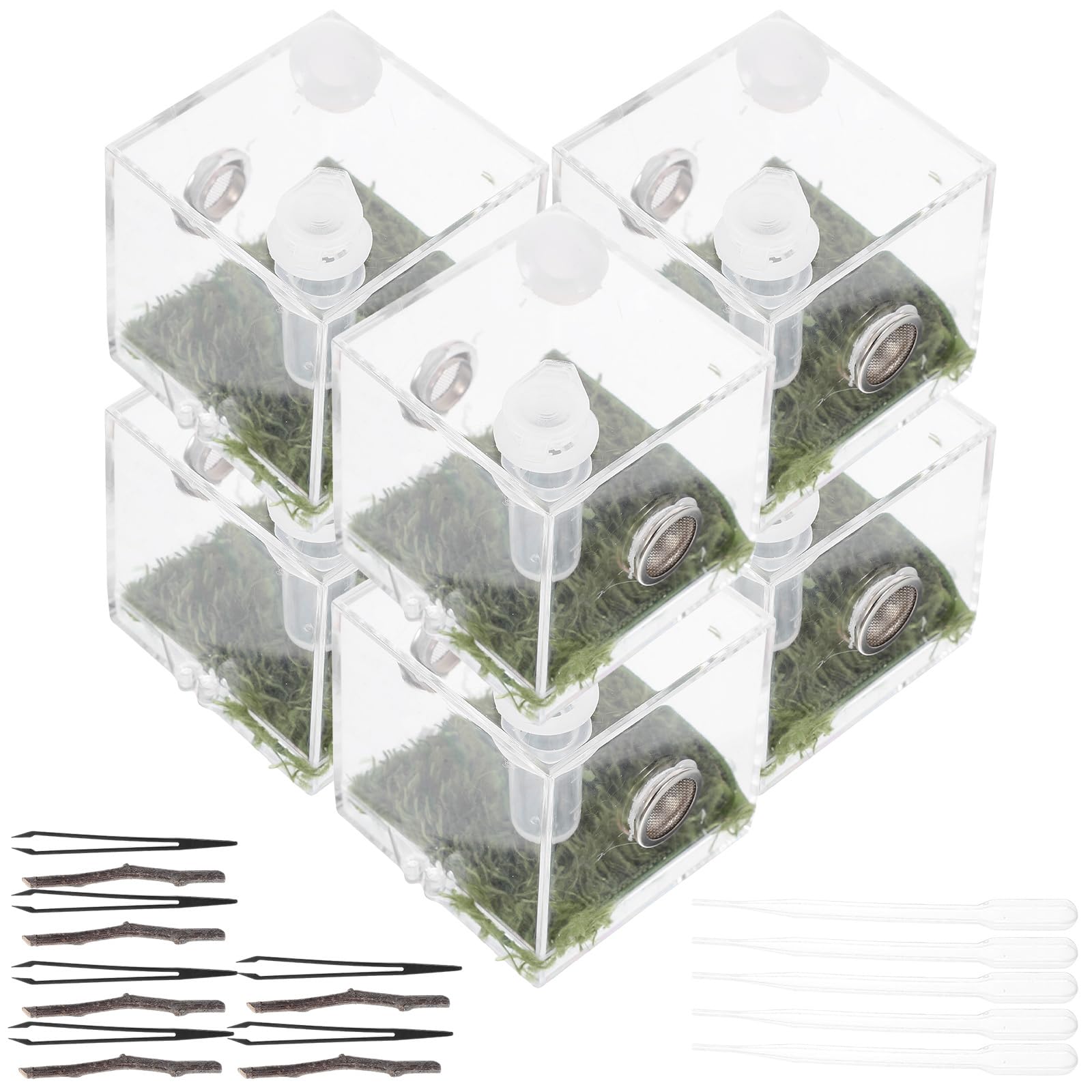 Amazon | VORCOOL 2セット アクリル製 トリグモ飼育箱 通気孔付き 昆虫